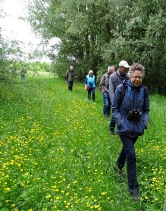 (Bentwoud). Foto van - Onbekend.
Struinen